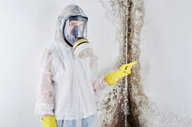 Why You Should Choose Our Mold Remediation Services in Forked River, NJ